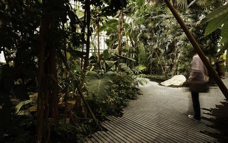 Jardin des Plantes de Paris