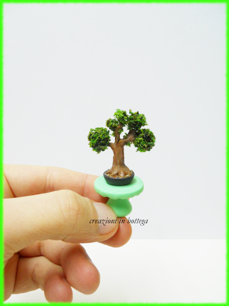 Bonsai in miniatura