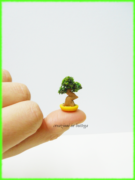 Bonsai in miniatura