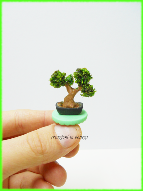 Bonsai in miniatura