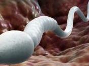 “Science”: interruttore permette “sprint” allo spermatozoo. Verso scoperta contraccettivo “unisex”