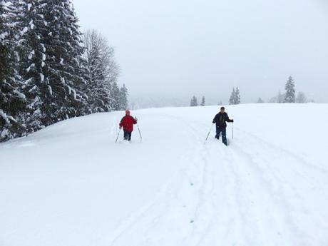 Hochfilzen: sciare e camminare nella neve in Tirolo