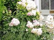 romanticissima casa inglese