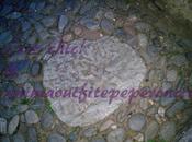 Palme uguale Pace. Quale?