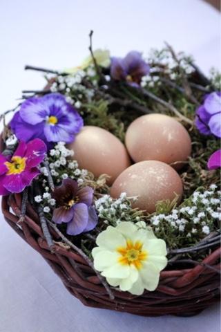 Un nido per Pasqua