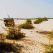Cosa vedere in Senegal: il Lago Rosa