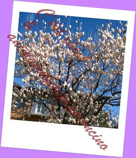 La bellezza della primavera...