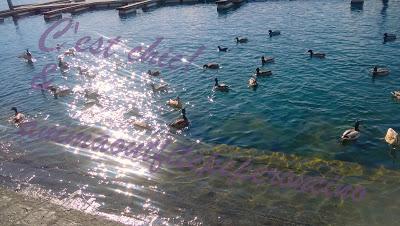 La bellezza della primavera...