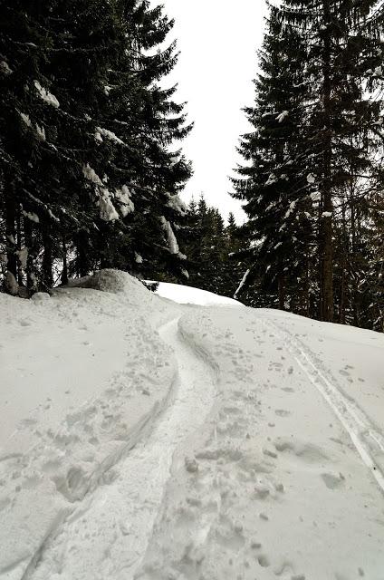 Nel bianco a malga Rauna