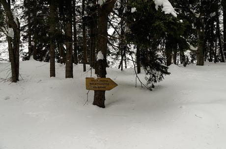 Nel bianco a malga Rauna