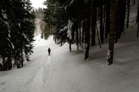 Nel bianco a malga Rauna