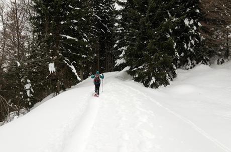 Nel bianco a malga Rauna