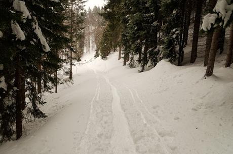 Nel bianco a malga Rauna