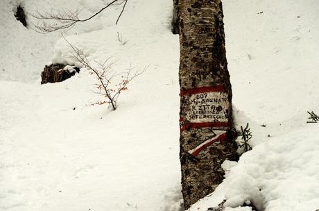 Nel bianco a malga Rauna