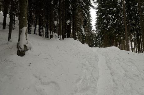 Nel bianco a malga Rauna