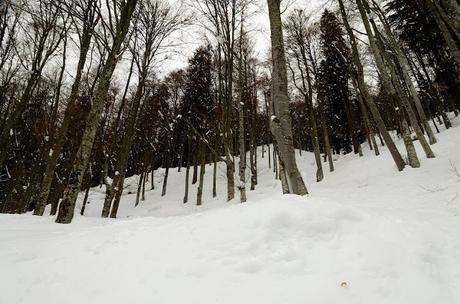 Nel bianco a malga Rauna