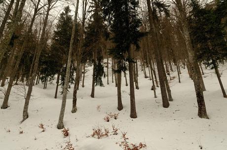 Nel bianco a malga Rauna