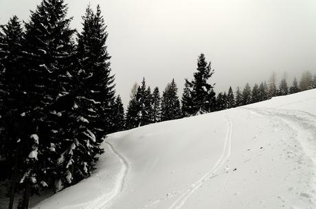 Nel bianco a malga Rauna