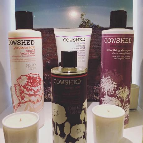cosmoprof cowshed