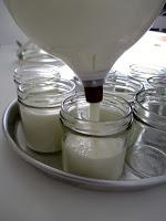 Yogurt fatto in casa con l' abbattitore di temperatura Fresco Irinox Yogurt fatto in casa con l' abbattitore di temperatura Fresco Irinox