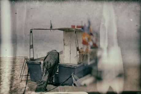 AIUTO RIFIUTATO…. IMG_8667