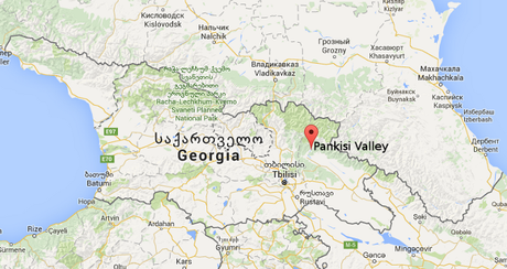 Georgia: l’ombra del terrorismo e i probabili scenari geopolitici Pankisi-Valley