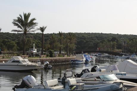 VIVERE AL MARE IN SARDEGNA! VIVERE AL MARE IN SARDEGNA!