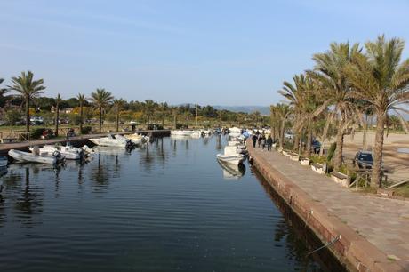 VIVERE AL MARE IN SARDEGNA! VIVERE AL MARE IN SARDEGNA!