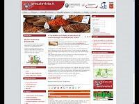 Ecoartigianato nel Chianti: Cuscini con Pula di Farro e Miglio Bio Ecoartigianato nel Chianti: Cuscini con Pula di Farro e Miglio Bio