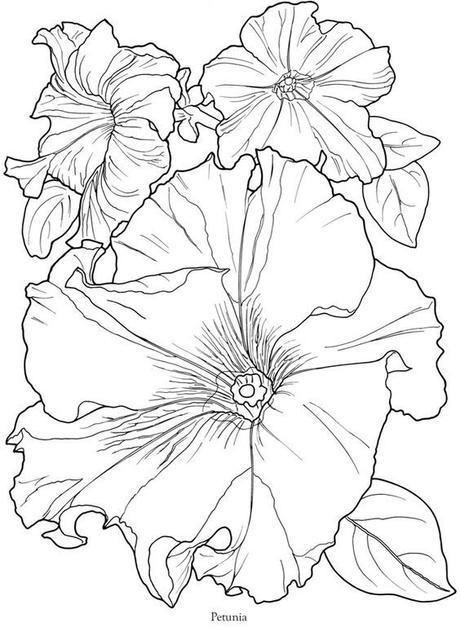 Pagine da colorare tema: “Fiori” ad091c880650ef955efc261a9357f7c2