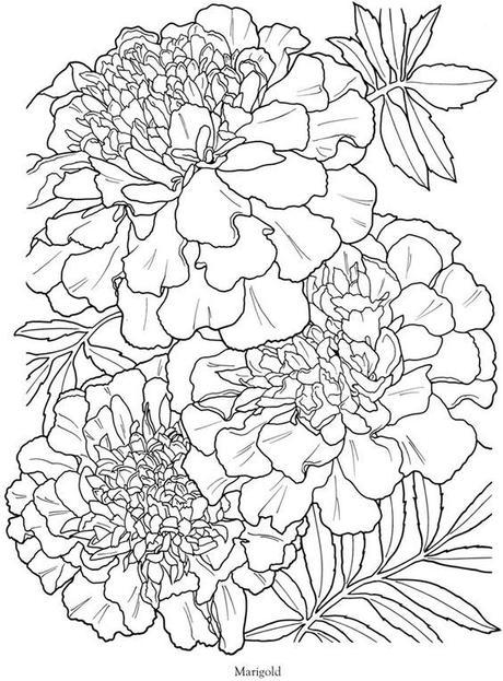 Pagine da colorare tema: “Fiori” 067f700e7b6aedb0eea3ca7c4d49eddf