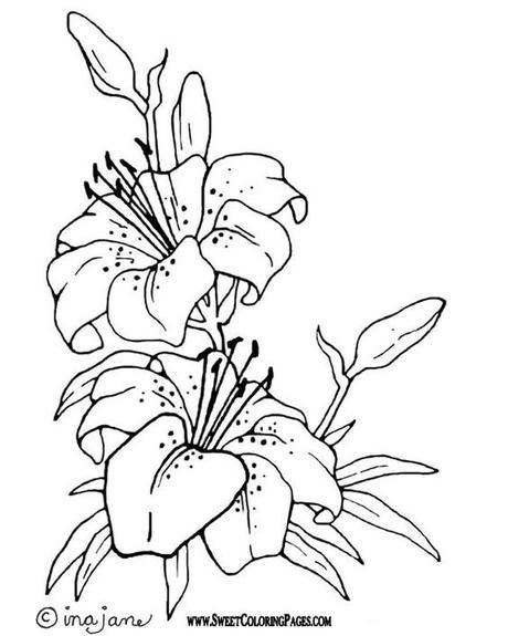 Pagine da colorare tema: “Fiori” b386550348dec2465a138adba2e06a0f.jpg