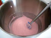 Stecco gelato fior di Fragola con l' abbattitore di temperatura Fresco Irinox Stecco gelato fior di Fragola con l' abbattitore di temperatura Fresco Irinox