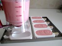 Stecco gelato fior di Fragola con l' abbattitore di temperatura Fresco Irinox Stecco gelato fior di Fragola con l' abbattitore di temperatura Fresco Irinox