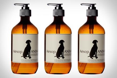 Il lunedì illuminante. L’estate addosso aesop-animal-wash