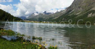 Seguendo il fiume Inn: mountain bike in Engadina engadina-sils-maria-2016-lugl-mtb-02