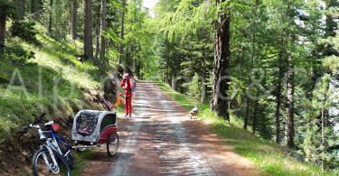 Seguendo il fiume Inn: mountain bike in Engadina engadina-sils-maria-2016-lugl-mtb-05