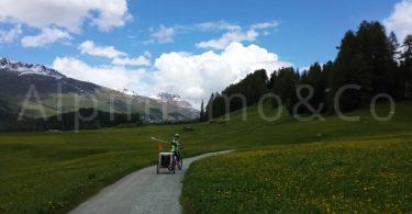 Seguendo il fiume Inn: mountain bike in Engadina engadina-sils-maria-2016-lugl-mtb-04