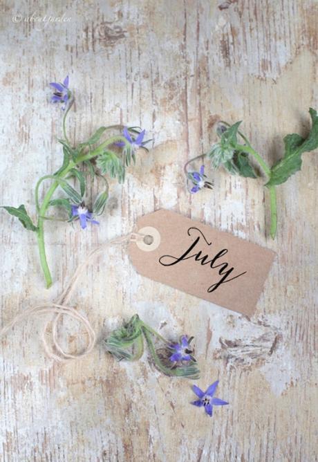 annotazioni creative #luglio2016 borragine luglio copia
