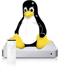 Linux: il pinguino rompighiaccio del mondo open source