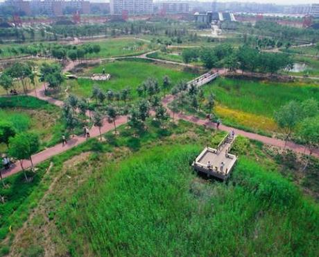 Tianjin Qiaoyuan Wetland Park