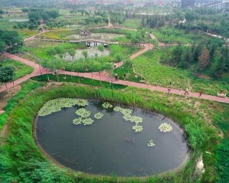 Tianjin Qiaoyuan Wetland Park