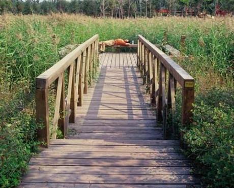 Tianjin Qiaoyuan Wetland Park