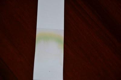 Cromatografia Del Pigmento Di Una Foglia