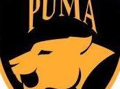 Football Americano: Puma Predatori preview (LENAF)