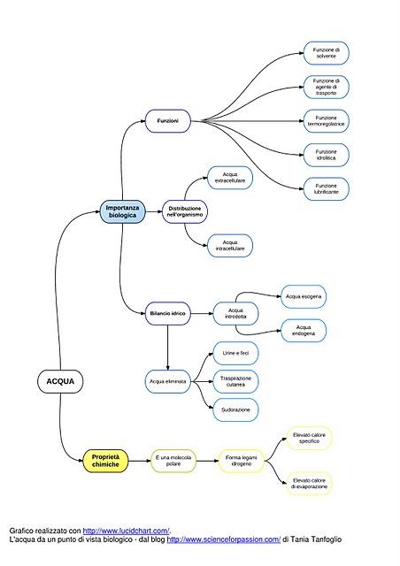 L'acqua da un punto di vista biologico