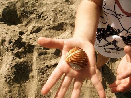 A 1st little summer day.