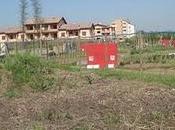 Quartiere Europa: orti socialisti anziani.