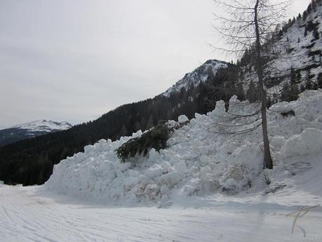 Foto della Valanga del Portados di Arabba sulla pista Fodoma