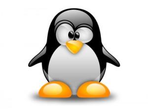 4 Distribuzioni Linux Consigliate Per Aiutarti A Scegliere Quella Giusta Per Te